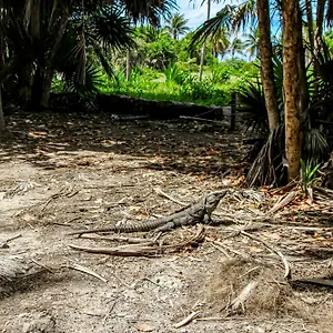 Hotel Giada Towers A204, Tulum
